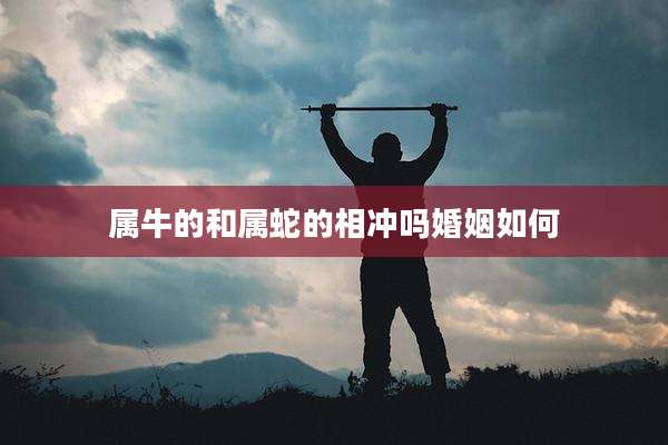属牛的和属蛇的相冲吗婚姻如何