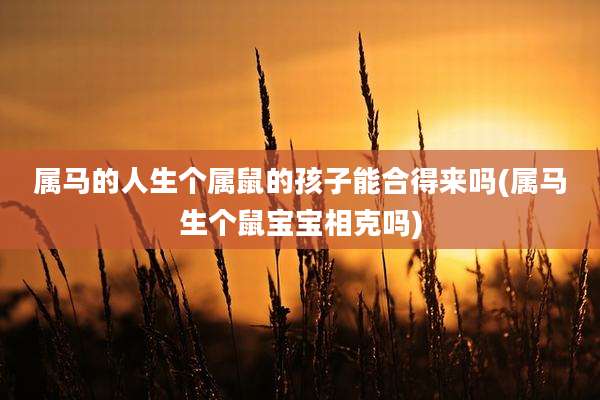 属马的人生个属鼠的孩子能合得来吗(属马生个鼠宝宝相克吗)