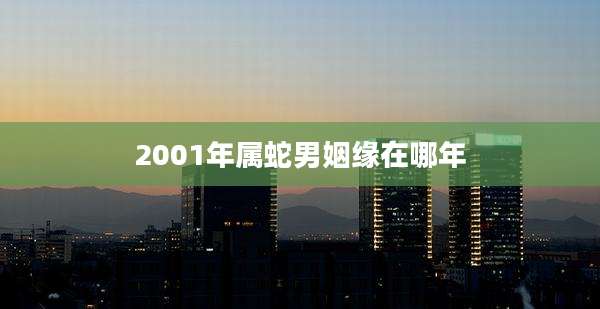 2001年属蛇男姻缘在哪年