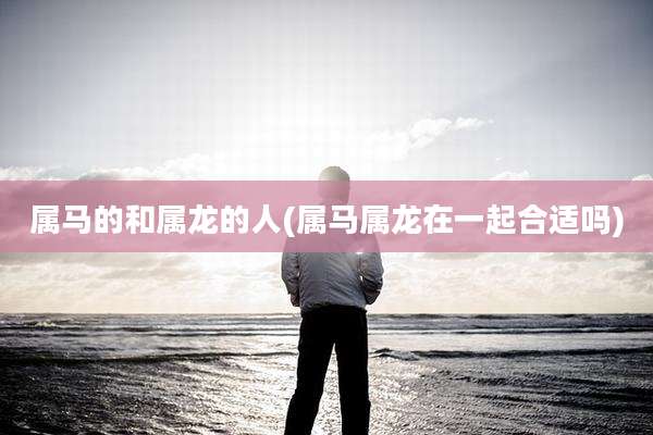 属马的和属龙的人(属马属龙在一起合适吗)