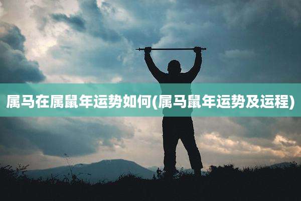 属马在属鼠年运势如何(属马鼠年运势及运程)