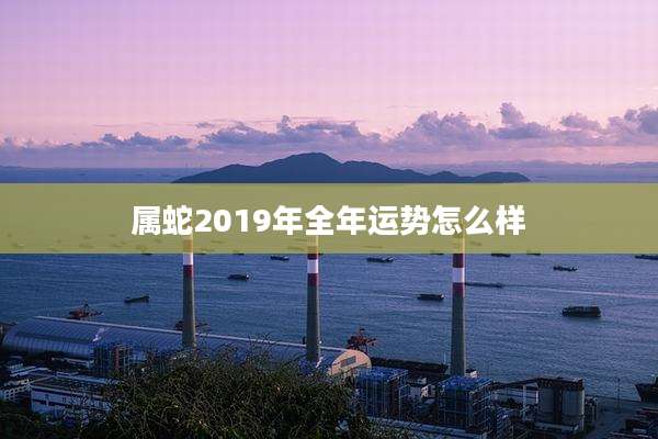 属蛇2019年全年运势怎么样