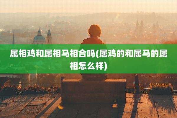 属相鸡和属相马相合吗(属鸡的和属马的属相怎么样)