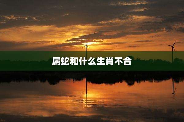 属蛇和什么生肖不合