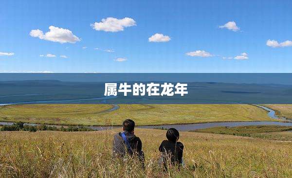 属牛的在龙年
