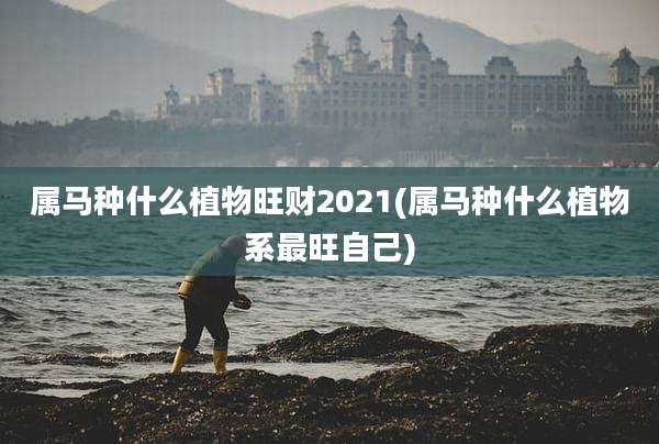 属马种什么植物旺财2021(属马种什么植物系最旺自己)