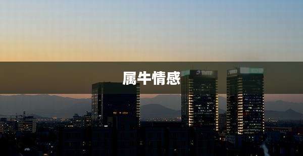 属牛情感