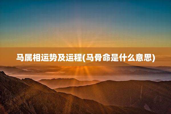马属相运势及运程(马骨命是什么意思)