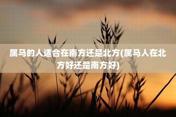 属马的人适合在南方还是北方(属马人在北方好还是南方好)