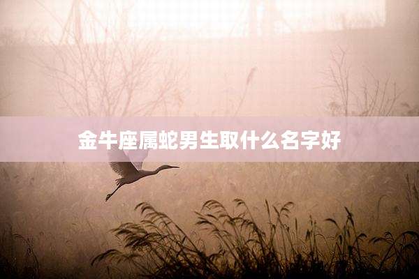 金牛座属蛇男生取什么名字好