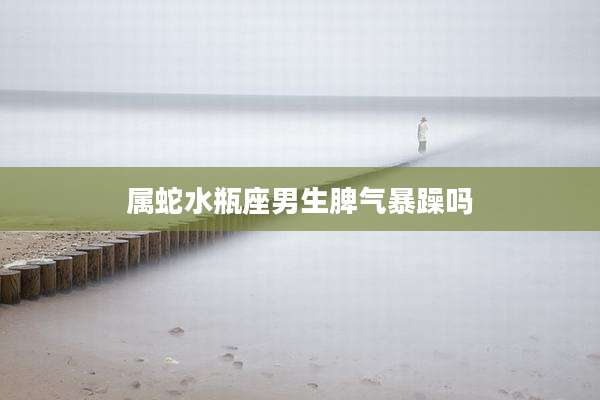 属蛇水瓶座男生脾气暴躁吗