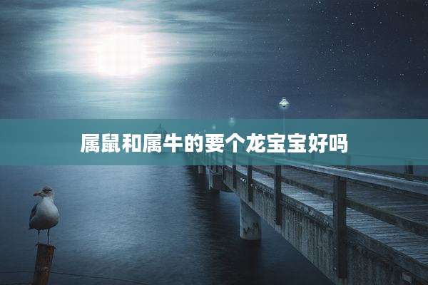 属鼠和属牛的要个龙宝宝好吗