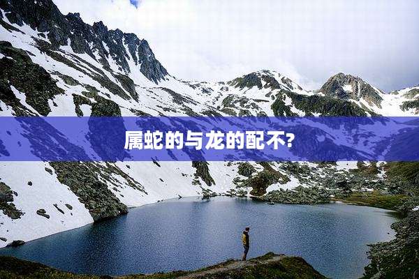 属蛇的与龙的配不?