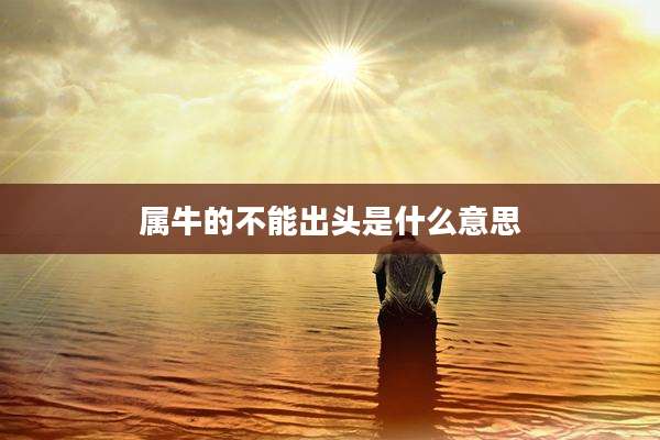 属牛的不能出头是什么意思