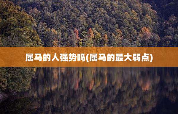 属马的人强势吗(属马的最大弱点)