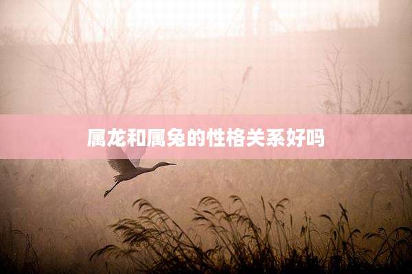 属龙和属兔的性格关系好吗