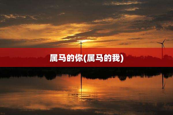 属马的你(属马的我)
