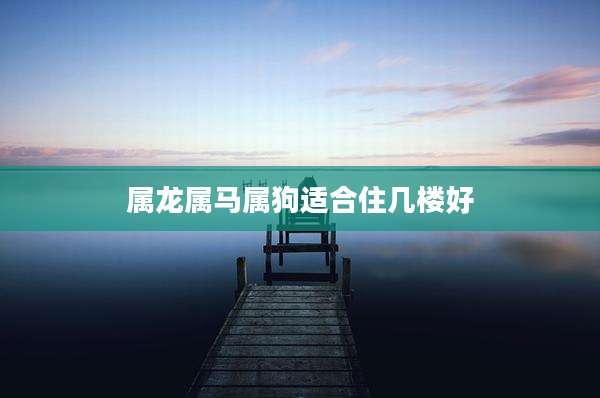 属龙属马属狗适合住几楼好