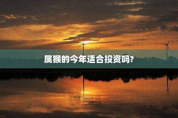 属猴的今年适合投资吗?