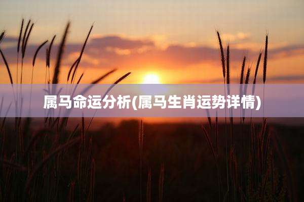 属马命运分析(属马生肖运势详情)