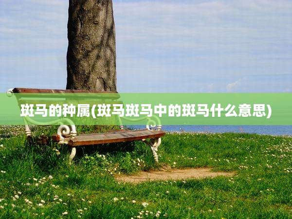 斑马的种属(斑马斑马中的斑马什么意思)