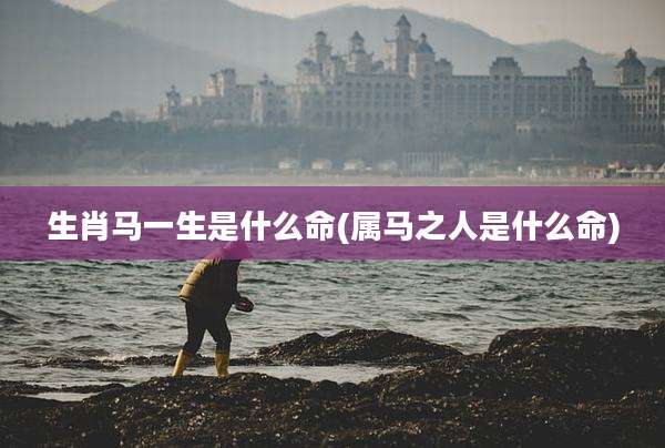 生肖马一生是什么命(属马之人是什么命)