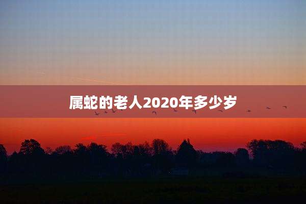 属蛇的老人2020年多少岁