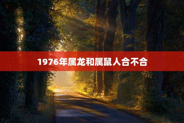 1976年属龙和属鼠人合不合