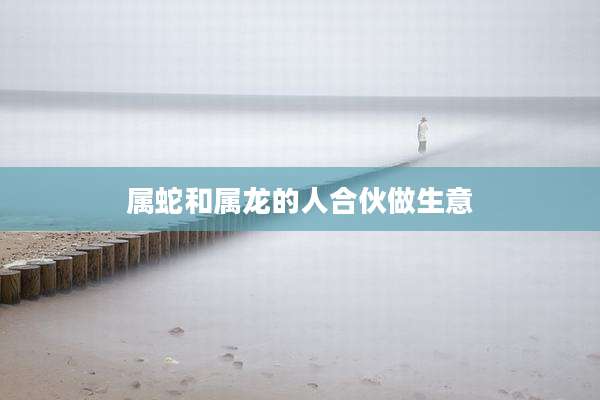 属蛇和属龙的人合伙做生意