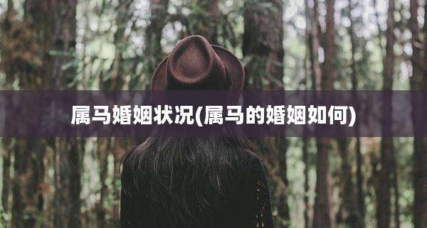属马婚姻状况(属马的婚姻如何)