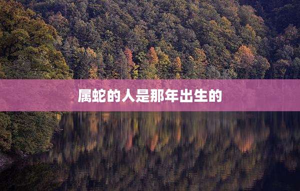 属蛇的人是那年出生的