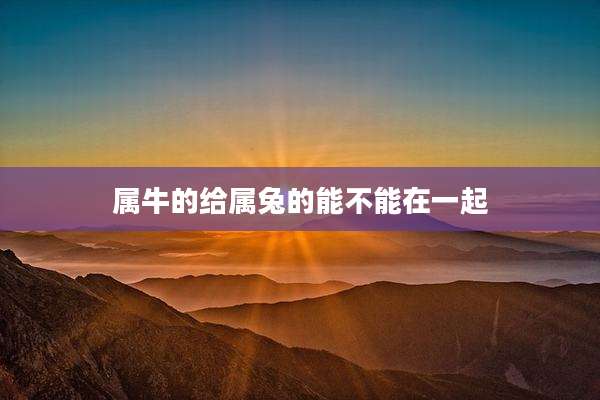 属牛的给属兔的能不能在一起