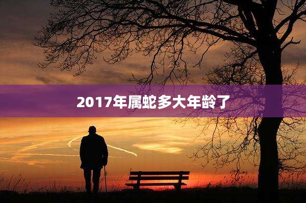 2017年属蛇多大年龄了