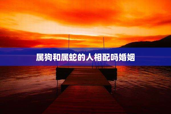 属狗和属蛇的人相配吗婚姻