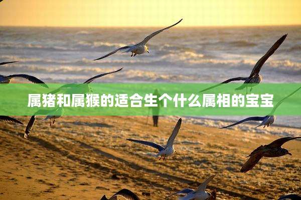 属猪和属猴的适合生个什么属相的宝宝