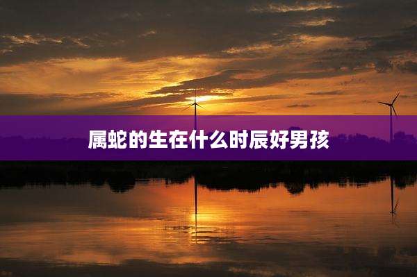属蛇的生在什么时辰好男孩