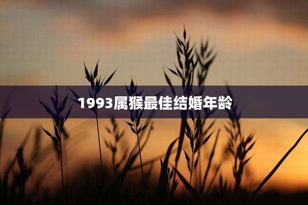 1993属猴最佳结婚年龄