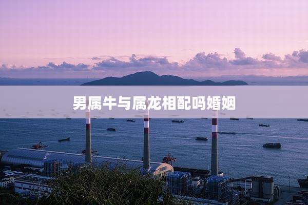 男属牛与属龙相配吗婚姻