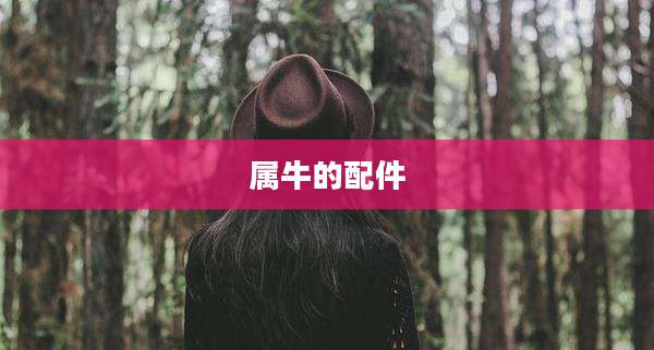 属牛的配件