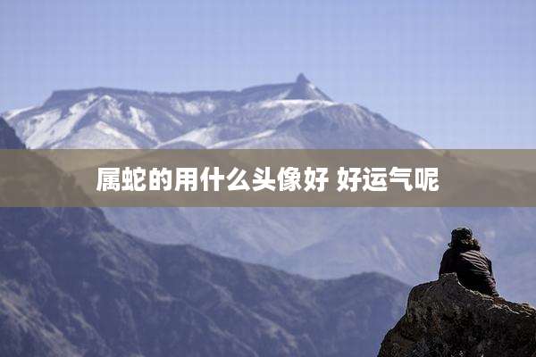 属蛇的用什么头像好 好运气呢