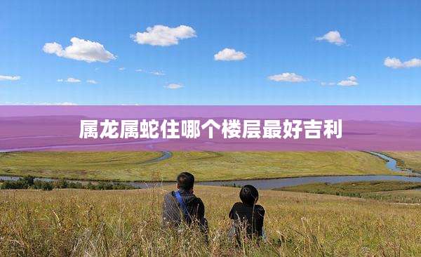 属龙属蛇住哪个楼层最好吉利