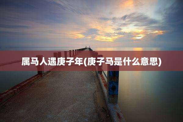 属马人遇庚子年(庚子马是什么意思)