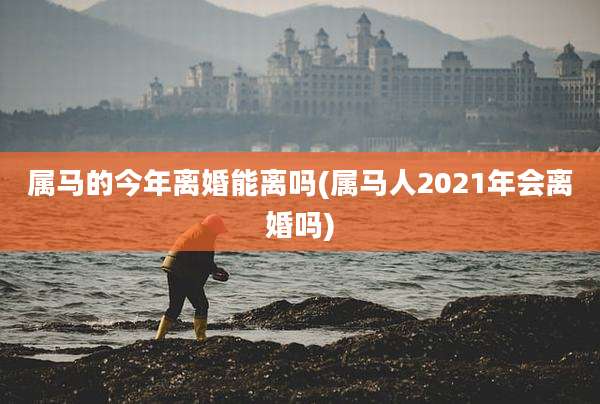 属马的今年离婚能离吗(属马人2021年会离婚吗)
