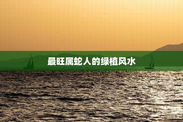 最旺属蛇人的绿植风水