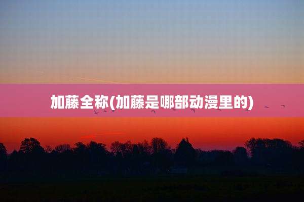 加藤全称(加藤是哪部动漫里的)