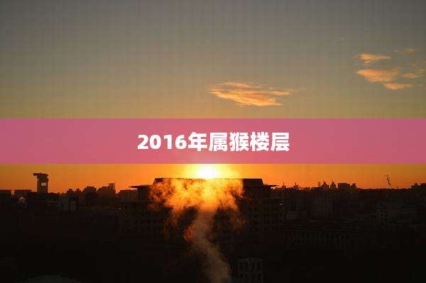 2016年属猴楼层