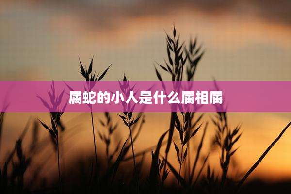 属蛇的小人是什么属相属