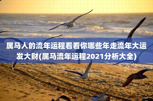 属马人的流年运程看看你哪些年走流年大运发大财(属马流年运程2021分析大全)