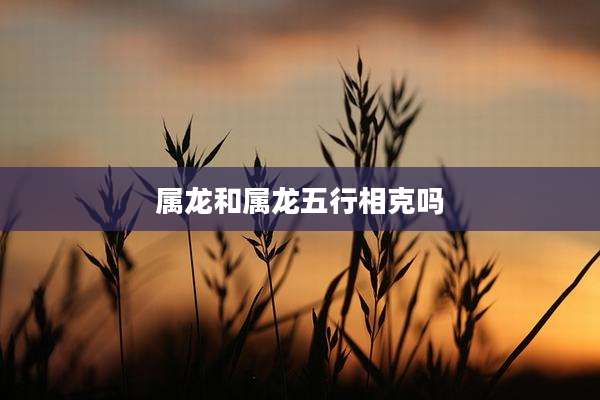 属龙和属龙五行相克吗