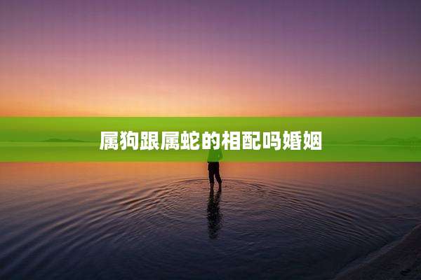 属狗跟属蛇的相配吗婚姻